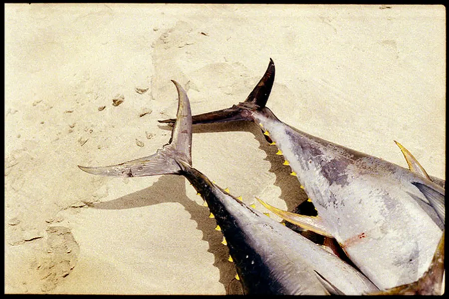 Cabo Verde