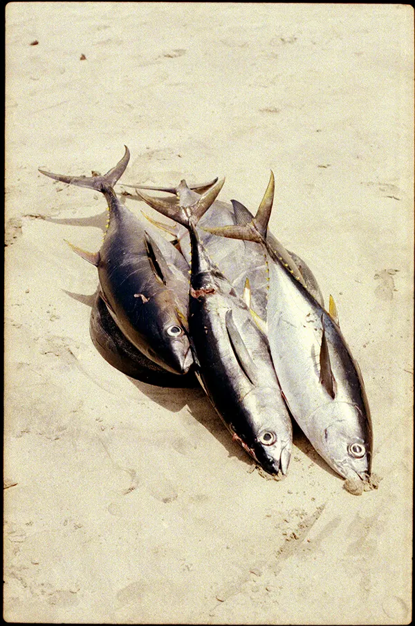 Cabo Verde