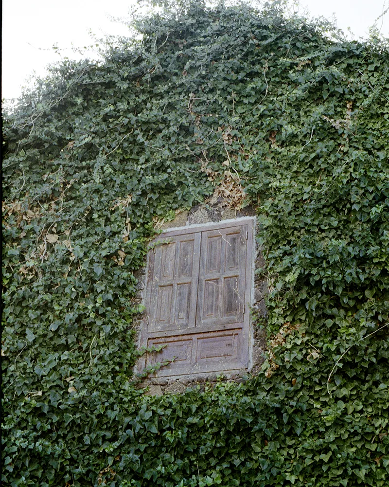Illes Canàries